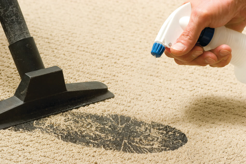 carpet cleaning in Paso Robles, CA